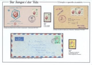 8 - Dar Sangue é dar Vida (O coração e o aparelho circulatório)