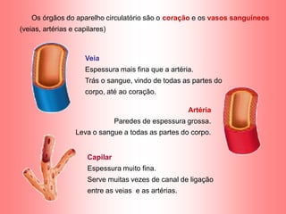Os órgãos do aparelho circulatório são o coração e os vasos sanguíneos
(veias, artérias e capilares)



                      Veia
                      Espessura mais fina que a artéria.
                      Trás o sangue, vindo de todas as partes do
                      corpo, até ao coração.

                                                      Artéria
                                Paredes de espessura grossa.
                  Leva o sangue a todas as partes do corpo.


                      Capilar
                      Espessura muito fina.
                      Serve muitas vezes de canal de ligação
                      entre as veias e as artérias.
 