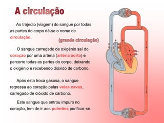 Ao trajecto (viagem) do sangue por todas
as partes do corpo dá-se o nome de
circulação.

   O sangue carregado de oxigénio saí do
coração por uma artéria (artéria aorta) e
percorre todas as partes do corpo, deixando
o oxigénio e recebendo dióxido de carbono.


   Após esta troca gasosa, o sangue
regressa ao coração pelas veias cavas,
carregado de dióxido de carbono.

   Este sangue que entrou impuro no
coração, tem de ir aos pulmões purificar-se.
 
