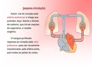 Assim, sai do coração pela
artéria pulmonar e chega aos
pulmões. Aqui, liberta o dióxido
de carbono, que irá ser expulso
do organismo, e recebe
oxigénio.

   O sangue purificado
regressa ao coração pela veia
pulmonar, para ser novamente
impulsionado, pela artéria aorta,
para todas as partes do corpo.
 
