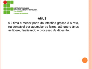ÂNUS
A última e menor parte do intestino grosso é o reto,
responsável por acumular as fezes, até que o ânus
as libere, finalizando o processo da digestão.
 