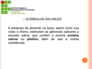 GLÂNDULAS SALIVALES
A presença de alimento na boca, assim como sua
visão e cheiro, estimulam as glândulas salivares a
secretar saliva, que contém a enzima amilase
salivar ou ptialina, além de sais e outras
substâncias.
 