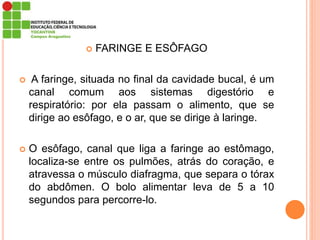  FARINGE E ESÔFAGO
 A faringe, situada no final da cavidade bucal, é um
canal comum aos sistemas digestório e
respiratório: por ela passam o alimento, que se
dirige ao esôfago, e o ar, que se dirige à laringe.
 O esôfago, canal que liga a faringe ao estômago,
localiza-se entre os pulmões, atrás do coração, e
atravessa o músculo diafragma, que separa o tórax
do abdômen. O bolo alimentar leva de 5 a 10
segundos para percorre-lo.
 