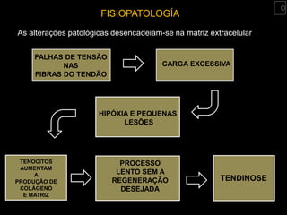 FISIOPATOLOGÍA
As alterações patológicas desencadeiam-se na matriz extracelular


     FALHAS DE TENSÃO
            NAS                        CARGA EXCESSIVA
     FIBRAS DO TENDÃO




                      HIPÓXIA E PEQUENAS
                            LESÕES




 TENOCITOS                 PROCESSO
 AUMENTAM
     A                    LENTO SEM A
PRODUÇÃO DE              REGENERAÇÃO                   TENDINOSE
 COLÁGENO                  DESEJADA
  E MATRIZ
 