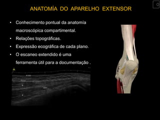 ANATOMÍA DO APARELHO EXTENSOR

• Conhecimento pontual da anatomía
  macroscópica compartimental.
• Relações topográficas.
• Expressão ecográfica de cada plano.
• O escaneo extendido é uma
  ferramenta útil para a documentação .
 