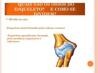 QUAIS SÃO OS OSSOS DO
ESQUELETO? E COMO SE
DIVIDEM?
 Divide-se em:
-Esqueleto axial formado pela cabeça e tronco
-Esqueleto apendicular formado
pelo membros superiores e
inferiores
 