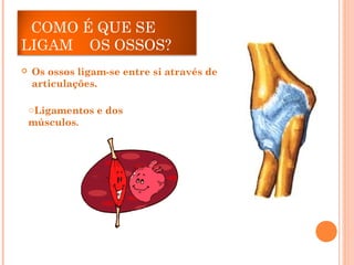 COMO É QUE SE
LIGAM OS OSSOS?
 Os ossos ligam-se entre si através de
articulações.
oLigamentos e dos
músculos.
 