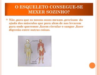 O ESQUELETO CONSEGUE-SE
MEXER SOZINHO?
 Não ,para que os nossos ossos mexam ,precisam da
ajuda dos músculos que para alem de nos levarem
para onde queremos ,fazem circular o sangue ,fazer
digestão entre outras coisas.
 