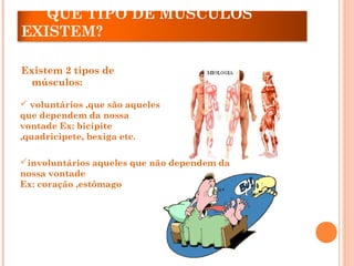 QUE TIPO DE MÚSCULOS
EXISTEM?
Existem 2 tipos de
músculos:
 voluntários ,que são aqueles
que dependem da nossa
vontade Ex: bicípite
,quadricipete, bexiga etc.
involuntários aqueles que não dependem da
nossa vontade
Ex: coração ,estômago
 