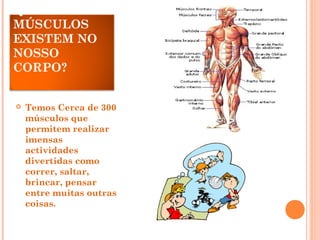 QUANTOS
MÚSCULOS
EXISTEM NO
NOSSO
CORPO?
 Temos Cerca de 300
músculos que
permitem realizar
imensas
actividades
divertidas como
correr, saltar,
brincar, pensar
entre muitas outras
coisas.
 