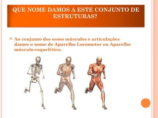 QUE NOME DAMOS A ESTE CONJUNTO DE
ESTRUTURAS?
 Ao conjunto dos ossos músculos e articulações
damos o nome de Aparelho Locomotor ou Aparelho
músculo-esquelético.
 