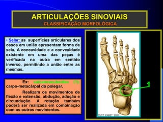 ARTICULAÇÕES SINOVIAIS
CLASSIFICAÇÃO MORFOLÓGICA
Ex: calcaneocuboídea (1);
carpo-metacárpal do polegar.
Realizam os movime...