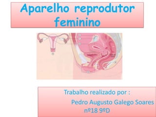 Aparelho reprodutor feminino Trabalho realizado por : 		Pedro Augusto Galego Soares nº18 9ºD 