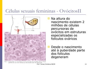 Células sexuais femininas - OvócitosII Na altura do nascimento existem 2 milhões de células percursoras de ovócitos em estruturas especializadas os folículos ováricos Desde o nascimento até à puberdade parte dos folículos degeneram 