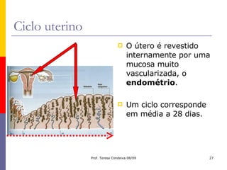 Ciclo uterino O útero é revestido internamente por uma mucosa muito vascularizada, o  endométrio . Um ciclo corresponde em média a 28 dias. 