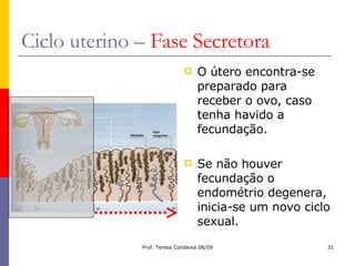 Ciclo uterino –  Fase Secretora O útero encontra-se preparado para receber o ovo, caso tenha havido a fecundação. Se não houver fecundação o endométrio degenera, inicia-se um novo ciclo sexual. 