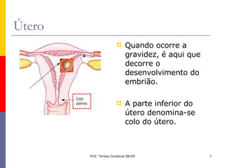 Útero Quando ocorre a gravidez, é aqui que decorre o desenvolvimento do embrião. A parte inferior do útero denomina-se colo do útero. 