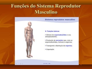 Funções do Sistema ReprodutorFunções do Sistema Reprodutor
MasculinoMasculino
 
