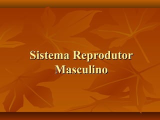 Sistema ReprodutorSistema Reprodutor
MasculinoMasculino
 