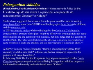 Pelargonium sidoides
(Umckaloabo, South African Geranium) - planta nativa da África do Sul.
O extrato líquido das raízes é o principal componente do
medicamentos Umckan® e Kaloba®
Studies have suggested that extracts from the plant could be used in treating
acute bronchitis, acute non-GABHS tonsillopharyngitis (sore throat) in children,
and the common cold.
A 2008 systematic review of these findings by the Cochrane Collaboration
concluded that extracts of the plant might be effective in treating adults for acute
rhinosinusitis and the common cold in adults, but they noted that this conclusion
is not certain. They also wrote that it might be effective in relieving the symptoms of
acute bronchitis in adults and children, and also the symptoms of sinusitis in adults.[6]
A 2009 systematic review concluded "There is encouraging evidence from
currently available data that P. sidoides is effective compared to placebo for
patients with acute bronchitis."
In February 2009 The United Kingdom's largest pharmaceutical retailer Boots
Chemist ran glossy magazine adverts offering Pelargonium sidoides drops as a
traditional herbal remedy under the brand name "Kaloba".
 