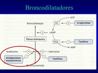 Broncodilatadores
 