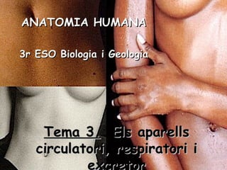 Tema 3.   Els aparells circulatori, respiratori i excretor ANATOMIA HUMANA 3r ESO  Biologia  i  Geologia 