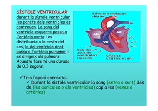 SÍSTOLE VENTRICULAR:
durant la sístole ventricular
les parets dels ventricles es
contreuen. La sang del
ventricle esquerre passa a
l'artèria aorta i es
distribueix a la resta del
cos, la del ventricle dret
passa a l'artèria pulmonar i
es dirigeix als pulmons.
Aquesta fase té una durada
de 0,3 segons.

 Tria l’opció correcta:
    Durant la sístole ventricular la sang (entra o surt) des
   de (les aurícules o els ventricles) cap a les (venes o
   artèries)
 
