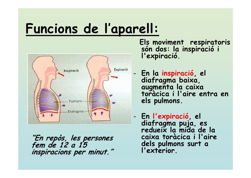 Aparell Respiratori