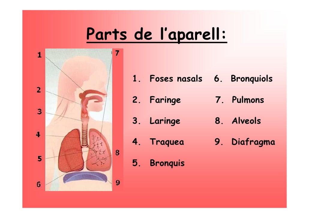 Aparell Respiratori