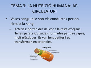 TEMA 3: LA NUTRICIÓ HUMANA: AP.
CIRCULATORI
• Vasos sanguinis: són els conductes per on
circula la sang.
– Artèries: porten des del cor a la resta d’òrgans.
Tenen parets gruixudes, formades per tres capes,
molt elàstiques. Es van fent petites i es
transformen en arterioles.

 