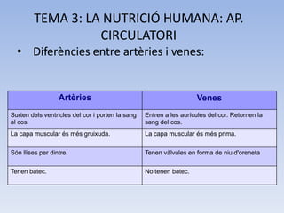 TEMA 3: LA NUTRICIÓ HUMANA: AP.
CIRCULATORI
• Diferències entre artèries i venes:

Artèries

Venes

Surten dels ventricles del cor i porten la sang
al cos.

Entren a les aurícules del cor. Retornen la
sang del cos.

La capa muscular és més gruixuda.

La capa muscular és més prima.

Són llises per dintre.

Tenen vàlvules en forma de niu d'oreneta

Tenen batec.

No tenen batec.

 