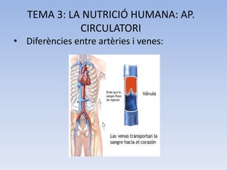 TEMA 3: LA NUTRICIÓ HUMANA: AP.
CIRCULATORI
• Diferències entre artèries i venes:

 