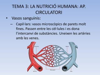 TEMA 3: LA NUTRICIÓ HUMANA: AP.
CIRCULATORI
• Vasos sanguinis:
– Capil·lars: vasos microscòpics de parets molt
fines. Passen entre les cèl·lules i es dona
l’intercanvi de substàncies. Uneixen les artèries
amb les venes.

 