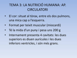 TEMA 3: LA NUTRICIÓ HUMANA: AP.
CIRCULATORI
• El cor: situat al tòrax, entre els dos pulmons,
una mica cap a l’esquerra.
• Format per teixit muscular (miocardi)
• Té la mida d’un puny i pesa uns 200 g
• Internament presenta 4 cavitats: les dues
superiors es diuen aurícules i les dues
inferiors ventricles, i són més grans.

 