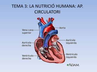 TEMA 3: LA NUTRICIÓ HUMANA: AP.
CIRCULATORI

 