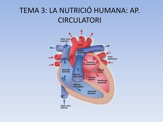 TEMA 3: LA NUTRICIÓ HUMANA: AP.
CIRCULATORI

 