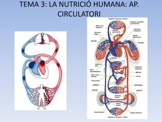 TEMA 3: LA NUTRICIÓ HUMANA: AP.
CIRCULATORI

 