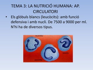 TEMA 3: LA NUTRICIÓ HUMANA: AP.
CIRCULATORI
• Els glòbuls blancs (leucòcits): amb funció
defensiva i amb nucli. De 7500 a 9000 per ml.
N'hi ha de diversos tipus.

 
