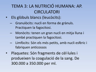 TEMA 3: LA NUTRICIÓ HUMANA: AP.
CIRCULATORI
• Els glòbuls blancs (leucòcits):
– Granulòcits: nucli en forma de grànuls.
Practiquen la fagocitosi.
– Monòcits: tenen un gran nucli en mitja lluna i
també practiquen la fagocitosi.
– Limfòcits: Són els més petits, amb nucli esfèric i
fabriquen anticossos

• Plaquetes: Són fragments de cèl·lules i
produeixen la coagulació de la sang. De
300.000 a 350.000 per ml.

 