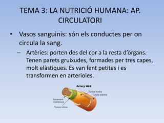 TEMA 3: LA NUTRICIÓ HUMANA: AP.
CIRCULATORI
• Vasos sanguinis: són els conductes per on
circula la sang.
– Artèries: porte...