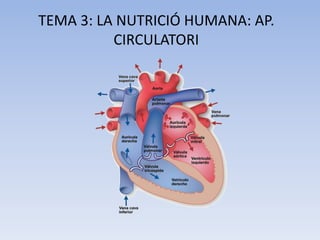 TEMA 3: LA NUTRICIÓ HUMANA: AP.
CIRCULATORI

 