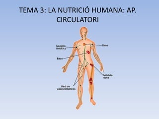 TEMA 3: LA NUTRICIÓ HUMANA: AP.
CIRCULATORI

 
