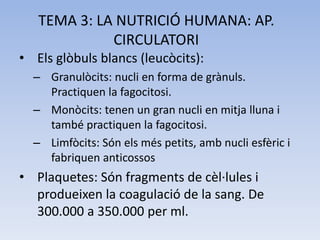 TEMA 3: LA NUTRICIÓ HUMANA: AP.
CIRCULATORI
• Els glòbuls blancs (leucòcits):
– Granulòcits: nucli en forma de grànuls.
Pr...