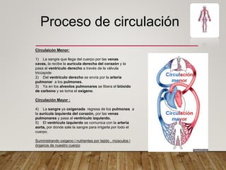 Proceso de circulación
Circulaicón Menor:
1) La sangre que llega del cuerpo por las venas
cavas, la recibe la aurícula derecha del corazón y la
pasa al ventrículo derecho a través de la válvula
tricúspide
2) Del ventrículo derecho se envía por la arteria
pulmonar a los pulmones.
3) Ya en los alveolos pulmonares se libera el bióxido
de carbono y se toma el oxígeno.
Circulación Mayor :
4) La sangre ya oxigenada regresa de los pulmones a
la aurícula izquierda del corazón, por las venas
pulmonares y pasa al ventrículo izquierdo.
5) El ventrículo izquierdo se comunica con la arteria
aorta, por donde sale la sangre para irrigarla por todo el
cuerpo.
Suministrando oxigeno i nutrientes por tejido , músculos i
órganos de nuestro cuerpo
 