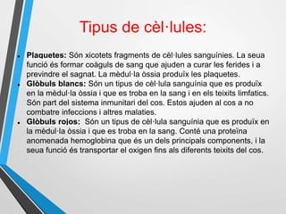 Tipus de cèl·lules:
 Plaquetes: Són xicotets fragments de cèl·lules sanguínies. La seua
funció és formar coàguls de sang que ajuden a curar les ferides i a
previndre el sagnat. La mèdul·la òssia produïx les plaquetes.
 Glòbuls blancs: Són un tipus de cèl·lula sanguínia que es produïx
en la mèdul·la òssia i que es troba en la sang i en els teixits limfatics.
Són part del sistema inmunitari del cos. Estos ajuden al cos a no
combatre infeccions i altres malaties.
 Glòbuls rojos: Són un tipus de cèl·lula sanguínia que es produïx en
la mèdul·la òssia i que es troba en la sang. Conté una proteïna
anomenada hemoglobina que és un dels principals components, i la
seua funció és transportar el oxigen fins als diferents teixits del cos.
 