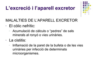 MALALTIES DE L’APARELL EXCRETOR El còlic nefrític: Acumulació de càlculs o “pedres” de sals minerals al ronyó o vies urinàries.  La cistitis: Inflamació de la paret de la bufeta o de les vies urinàries per infecció de determinats microorganismes.  L’excreció i l’aparell excretor 