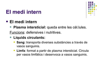 El medi intern El medi intern Plasma intersticial:  queda entre les cèl.lules. Funcions : defensives i nutritives.  Líquids circulants: Sang:  transporta diverses substàncies a través de vasos sanguinis.  Limfa : format a partir de plasma intersticial. Circula per vasos limfàtics i desenvoca a vasos sanguinis. 