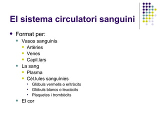 El sistema circulatori sanguini Format per: Vasos sanguinis Artèries Venes Capil.lars La sang Plasma Cèl.lules sanguínies Glòbuls vermells o eritròcits Glòbuls blancs o leucòcits Plaquetes i trombòcits El cor 