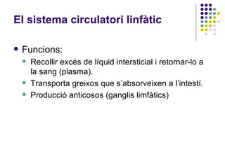 Funcions: Recollir excés de líquid intersticial i retornar-lo a la sang (plasma). Transporta greixos que s’absorveixen a l’intestí. Producció anticosos (ganglis limfàtics) El sistema circulatori linfàtic 