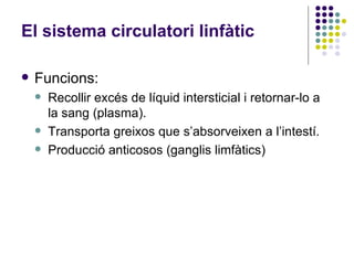 <ul><li>Funcions: </li></ul><ul><ul><li>Recollir excés de líquid intersticial i retornar-lo a la sang (plasma). </li></ul>...